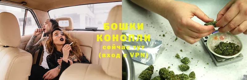 Канабис White Widow  mega вход  Болохово  купить наркотики цена 